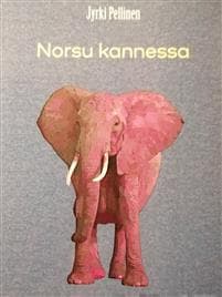 Norsu kannessa