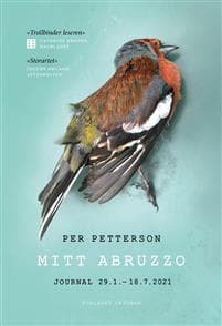 Mitt Abruzzo: journal 29.1. - 18.7. 2021