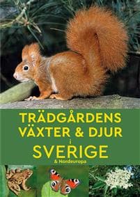 Trädgårdens växter & djur i Sverige & Nordeuropa