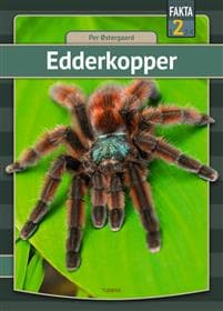 Edderkopper