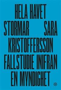 Hela havet stormar : fallstudie inifrån en myndighet