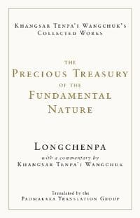 The Precious Treasury of the Fundamental Nature