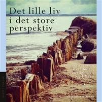 Det lille liv i det store perspektiv