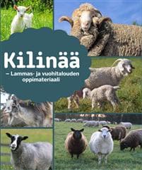 Kilinää