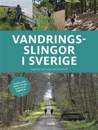 Vandringsslingor i Sverige : 98 vandringar som börjar och slutar på samma ställe