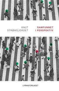 Samfunnet i perspektiv