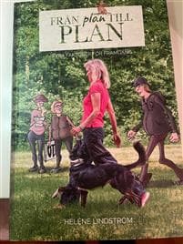 Från plan till plan