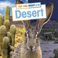 Day and Night in the Desert