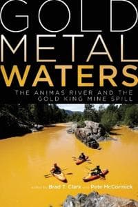 Gold Metal Waters