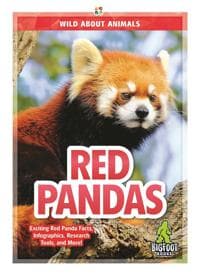 Red Pandas