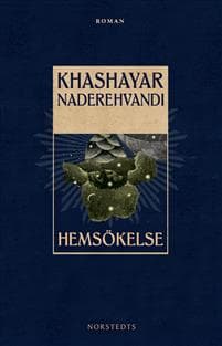 Hemsökelse