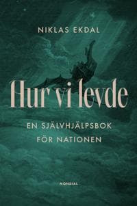 Hur vi levde : Den gudomliga komedin om Sverige