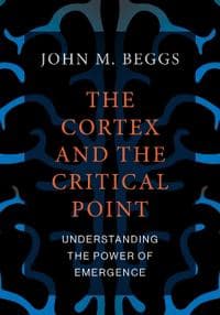 The Cortex and the Critical Point