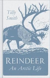 Reindeer