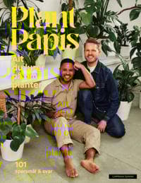 Alt du lurer på om planter: Plant_papis