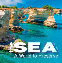 The Sea