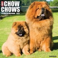 Just Chow Chows 2023 Wall Calendar