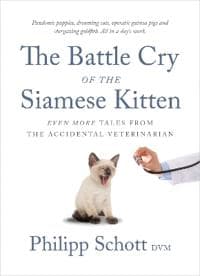 The Battle Cry Of The Siamese Kitten