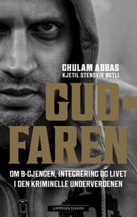 Gudfaren; om B-gjengen, integrering og livet i den kriminelle underverdenen