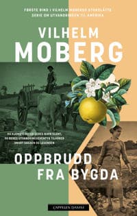 Oppbrudd fra bygda