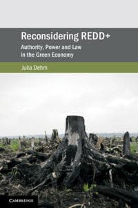 Reconsidering REDD+