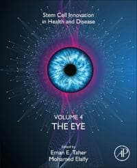 The Eye