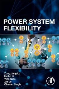 Power System Flexibility