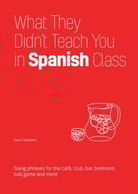 What They Didn't Teach You In Spanish Class