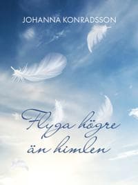Flyga högre än himlen