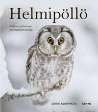 Helmipöllö