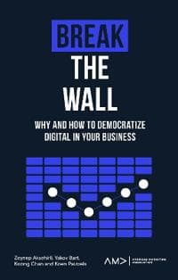 Break the Wall