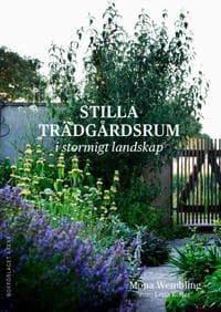 Stilla trädgård i stormigt landskap