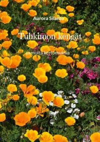 Tuhkimon kengät