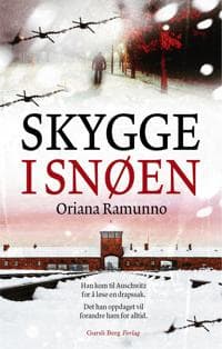 Skygge i snøen