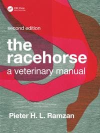 The Racehorse