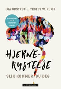 Hjernerystelse