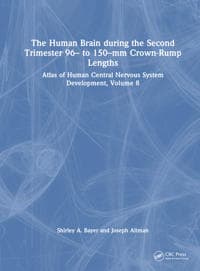 The Human Brain during the Second Trimester 96– to 150–mm Crown-Rump Lengths