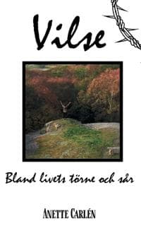 Vilse