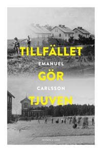 Tillfället gör tjuven