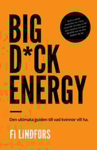 Big dick energy : den ultimata guiden till vad kvinnor vill ha