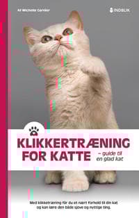 Klikkertræning for katte
