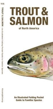 Trout & Salmon of North America