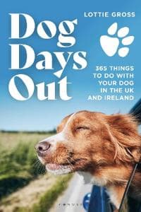 Dog Days Out