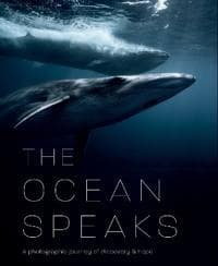 The Ocean Speaks