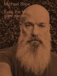 Michael Stipe: Even the birds gave pause