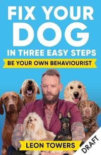 Fix Your Dog in Three Easy Steps