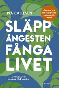 Släpp ångesten, fånga livet : övervinn oro och ängslan med metakognitiv terapi