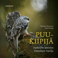 Puukiipijä
