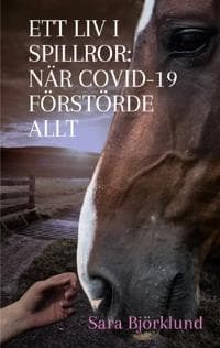 Ett liv i spillror