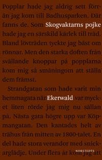 Skogvaktarns pojke : minnen